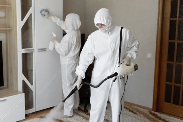 Trusted Hawthorn Woods, IL Mold Removal Experts