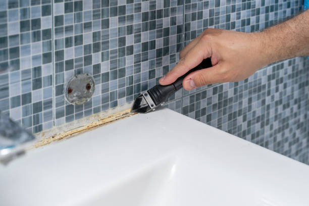 Best Office Mold Removal Services  in Hawthorn Woods, IL